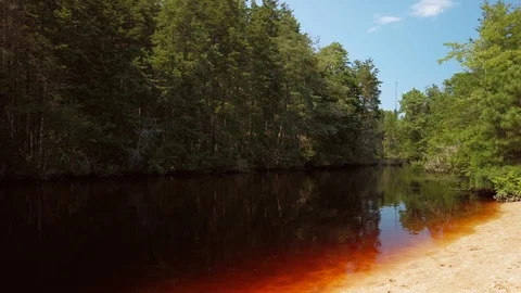 Waters of Cedar Creek in Ocean County New Jersey Stock Footage 113486201