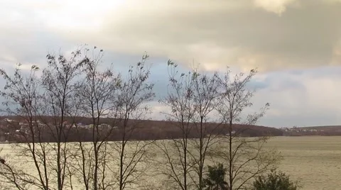 Waters city sky trees Stock Footage 57782088