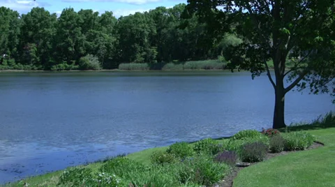 At water's edge (1 of 2) Stock-Footage 31899073