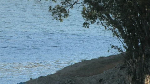 Water's Edge 2 Video stock 612360