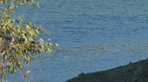 Water's Edge Video stock 612356