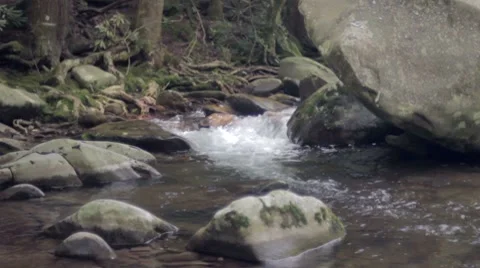 Water's Edge Video stock 7767176