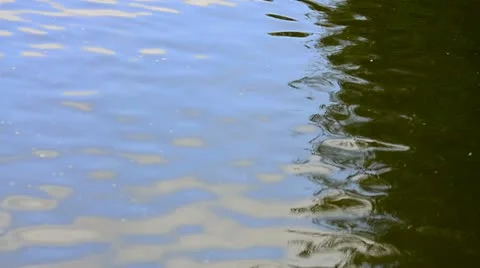 Waters edge Stock Footage 11062070