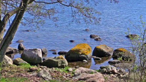 Water's edge Stock Footage 50365833