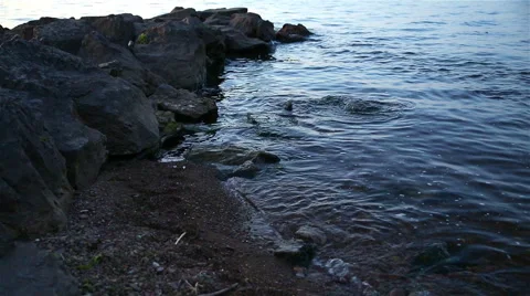 Waters Edge Stock Footage 57730009