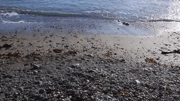 The waters edge Stock Footage 85561633