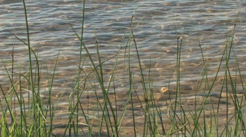 Water's Edge on Lake - Background Stock Footage 7765215