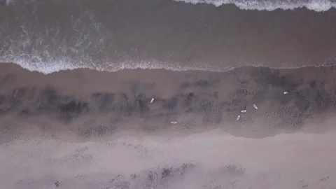 Waters edge with seagulls Stock Footage 152856621