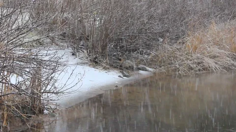 Waters edge in snowfall Stock Footage 33332642