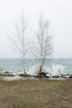 Water's edge in winter Stock Photos