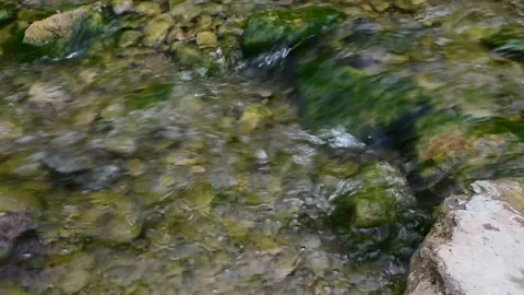 Waters flowing from the bottom of the rocks Stock Footage 142008929