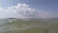 In The Waters Off Fort DeSoto Beach HD Footage