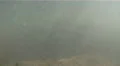 In The Waters Off Fort DeSoto Beach HD Footage