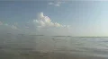 In The Waters Off Fort DeSoto Beach HD Footage