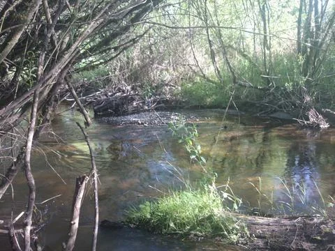 THe waters of North Creek in Bothell Stock Photos
