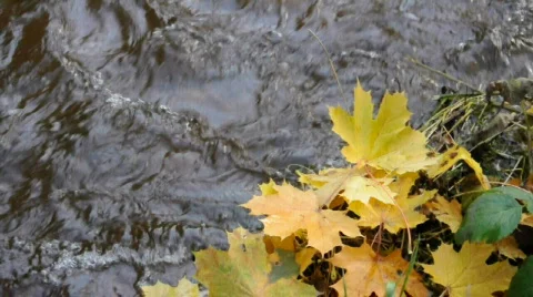 Waters of November Stock Footage 577573