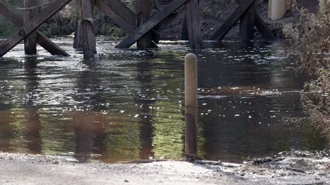 Waters of river in food flows under historic wooden Bridge. Pan Video stock 160382777