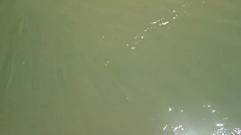 Waters of a river with rays of sunlight. Video stock 332260590