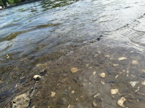 The waters of the river splash on pebbles. Stock Photos