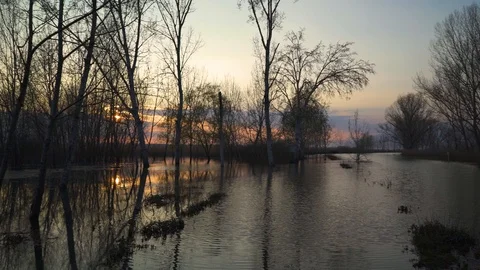 Waterscape, trees growing by the pond on sunset in the fall Stock-Footage 96019660