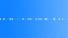 Water,Spray,Windex Bottle,Many 1Sound Effect