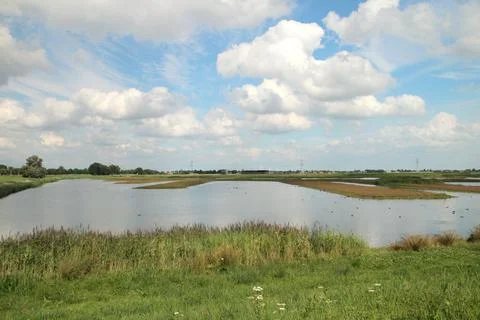 Waterstorage in the Eendragtspolder Stock Photos