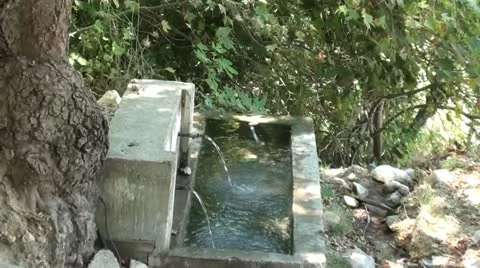 Watertrough in forest zoom in Stock Footage 10817747