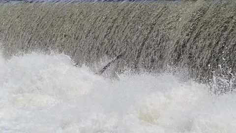 Waterwall on the river in sunshine Stock Footage 153284668