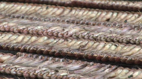 On the waterway Stock Footage 536113