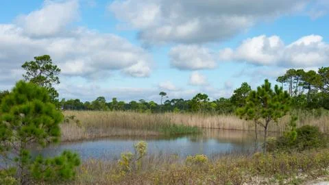Waterway Stock Photos