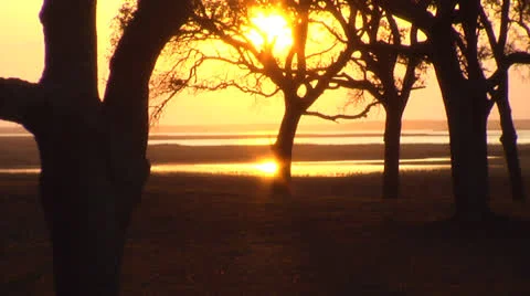 Waterway sunset through trees, static Video stock 24459334