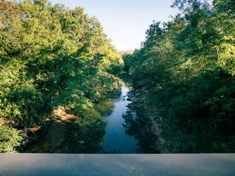 Waterway surrounded by lush forest Stock Photos