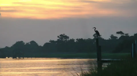 Waterway waking up Stock Footage 36987575