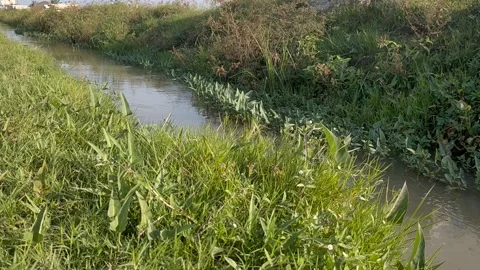 Waterways Stock Footage 209526332