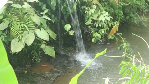 Waterways Stock Footage 253407853