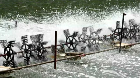 Waterwheel Stock Footage 40370622