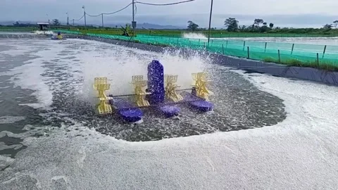 Waterwheel Stock Footage 229909762