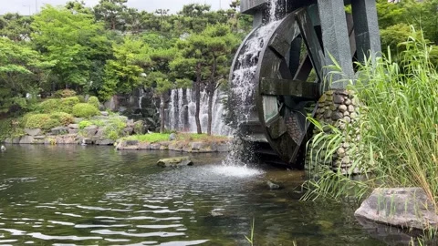 The waterwheel in the park Video stock 197541697
