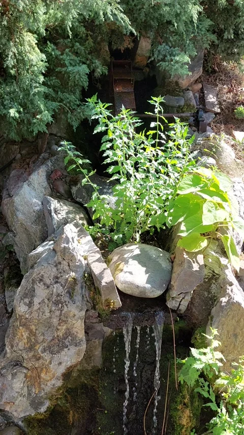 Waterwheel Short Video Video stock 250089181