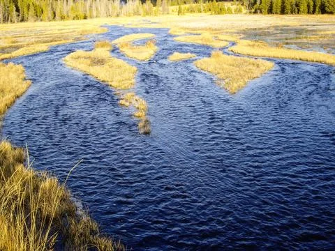 Watery marsh Stock Photos