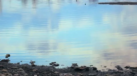 Watery mirror! Video stock 10898582