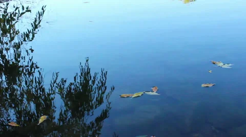 Watery reflection Stock-Footage 34811618