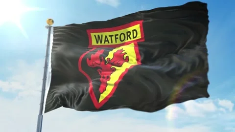 Watford Video stock 151216873