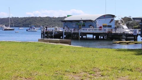 Watson bay Stock Footage 85821467
