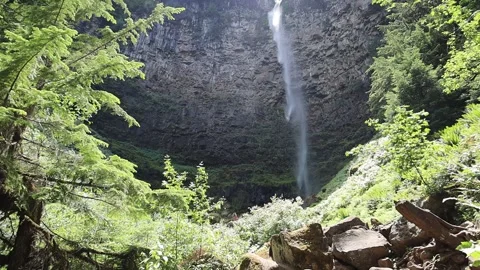 Watson falls in Rogue Umpqua forest Oregon USA 스톡 동영상 340243253