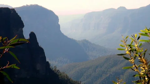 Wattle Overlooking Grose Valley Stock Footage 30370830