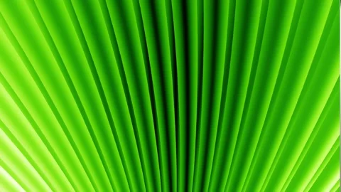 Wave 3d abstract background. m 469 Stock Footage 259809429