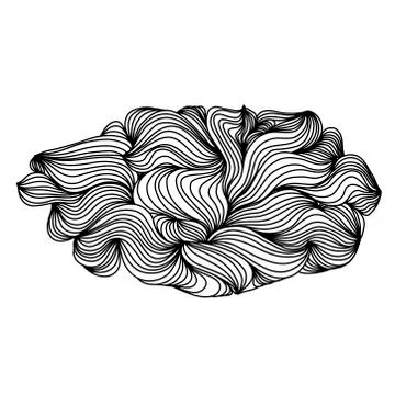 Wave abstract pattern. Round lines background. Vector illustration. Stock Illustration