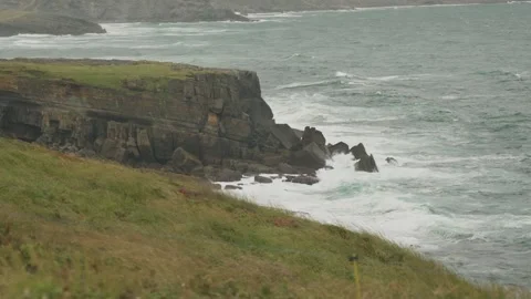 Wave against the rocks off the coast moving plants in slow motion Stock Footage 297791896