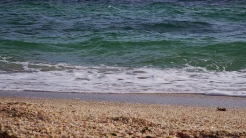 Wave with algae in slow motion Stock Footage 102312299